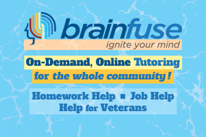 Brainfuse on demand online tutoring, homework help, job help and vet help